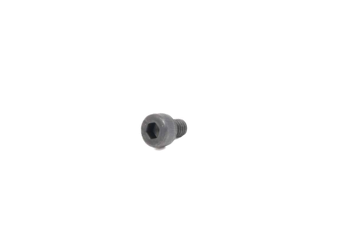 Screw Bolt