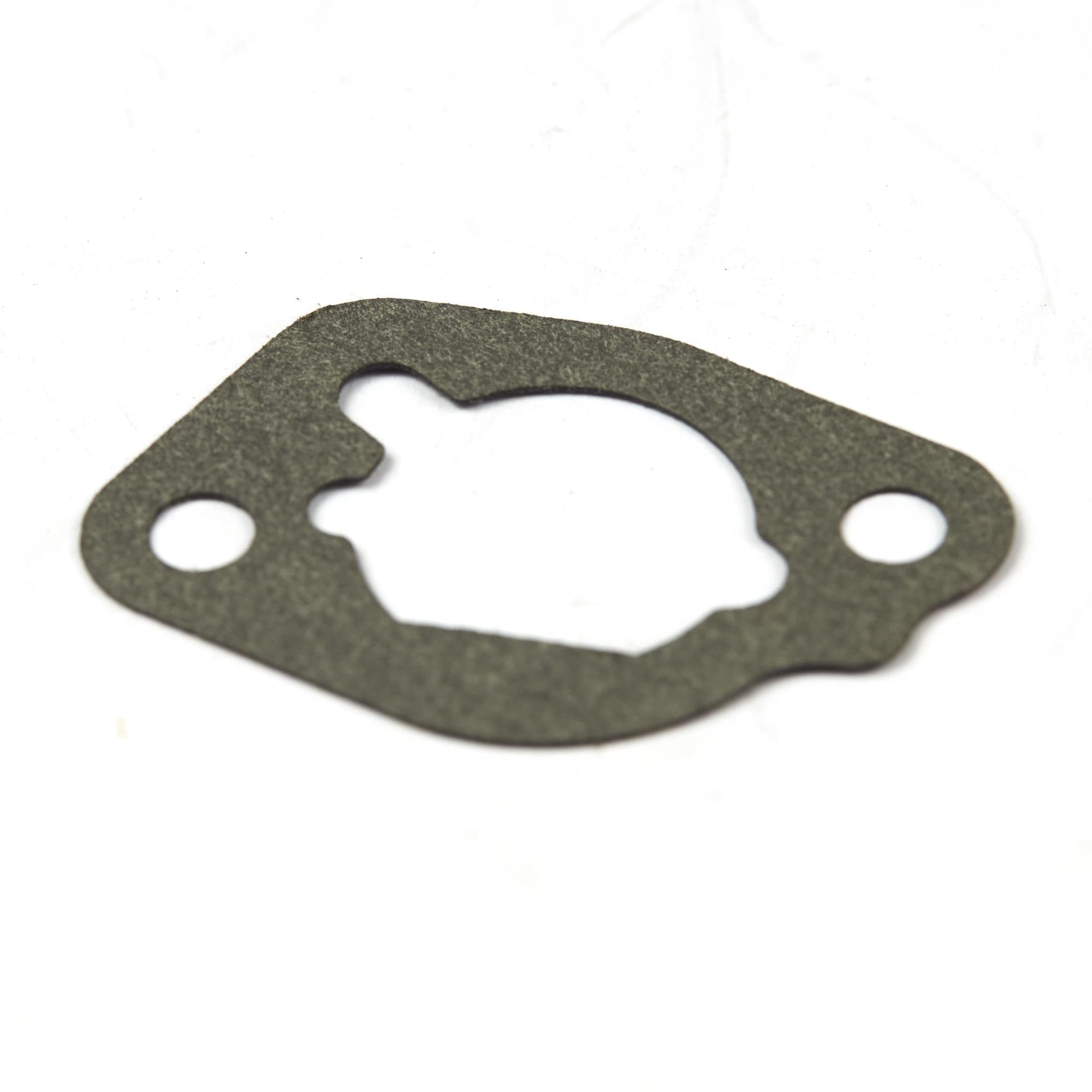 590605 GASKET-AIR CLEANER
