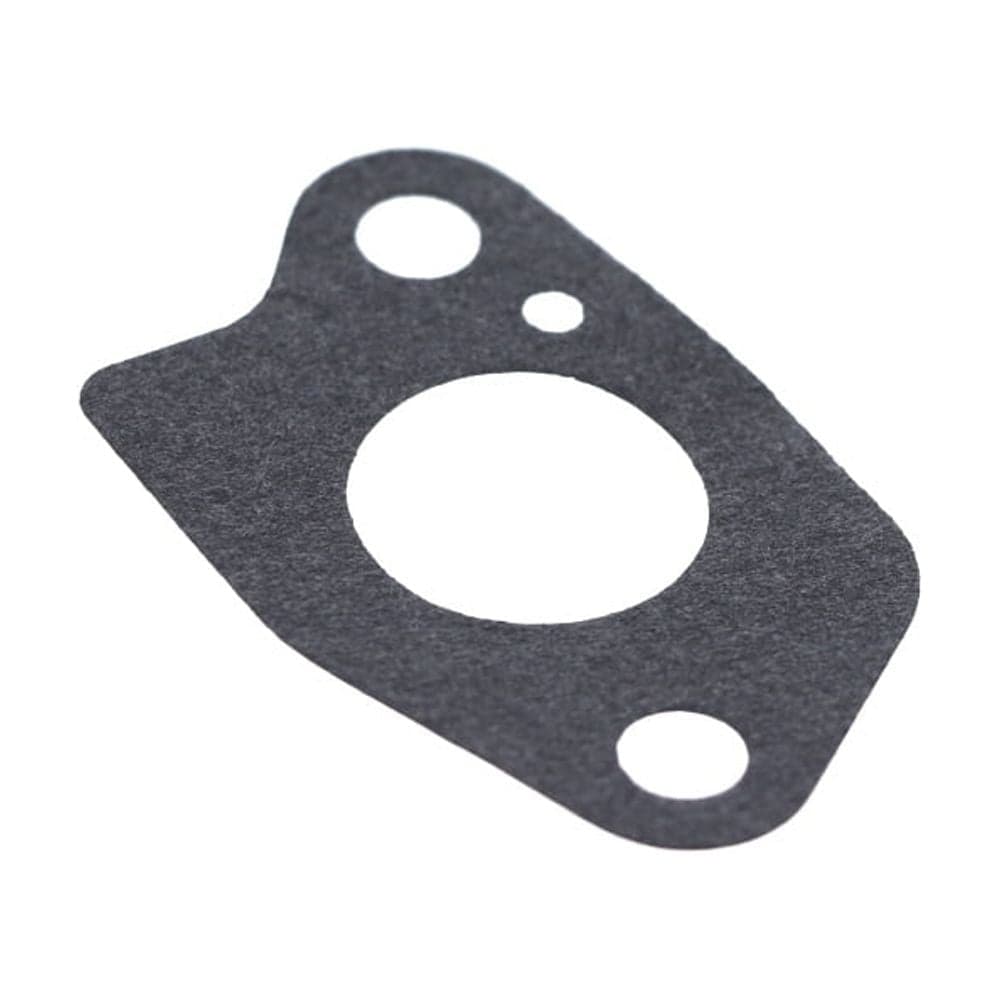 590613 GASKET-INTAKE