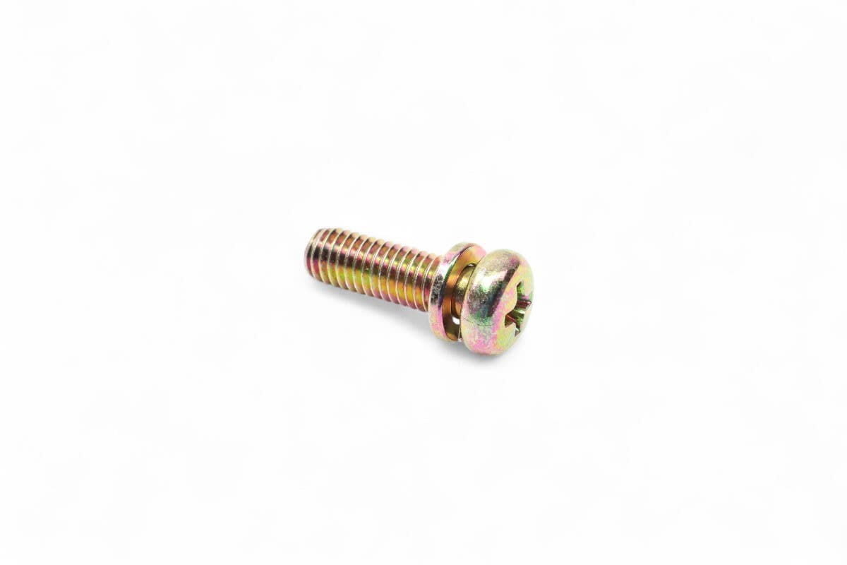 Screw