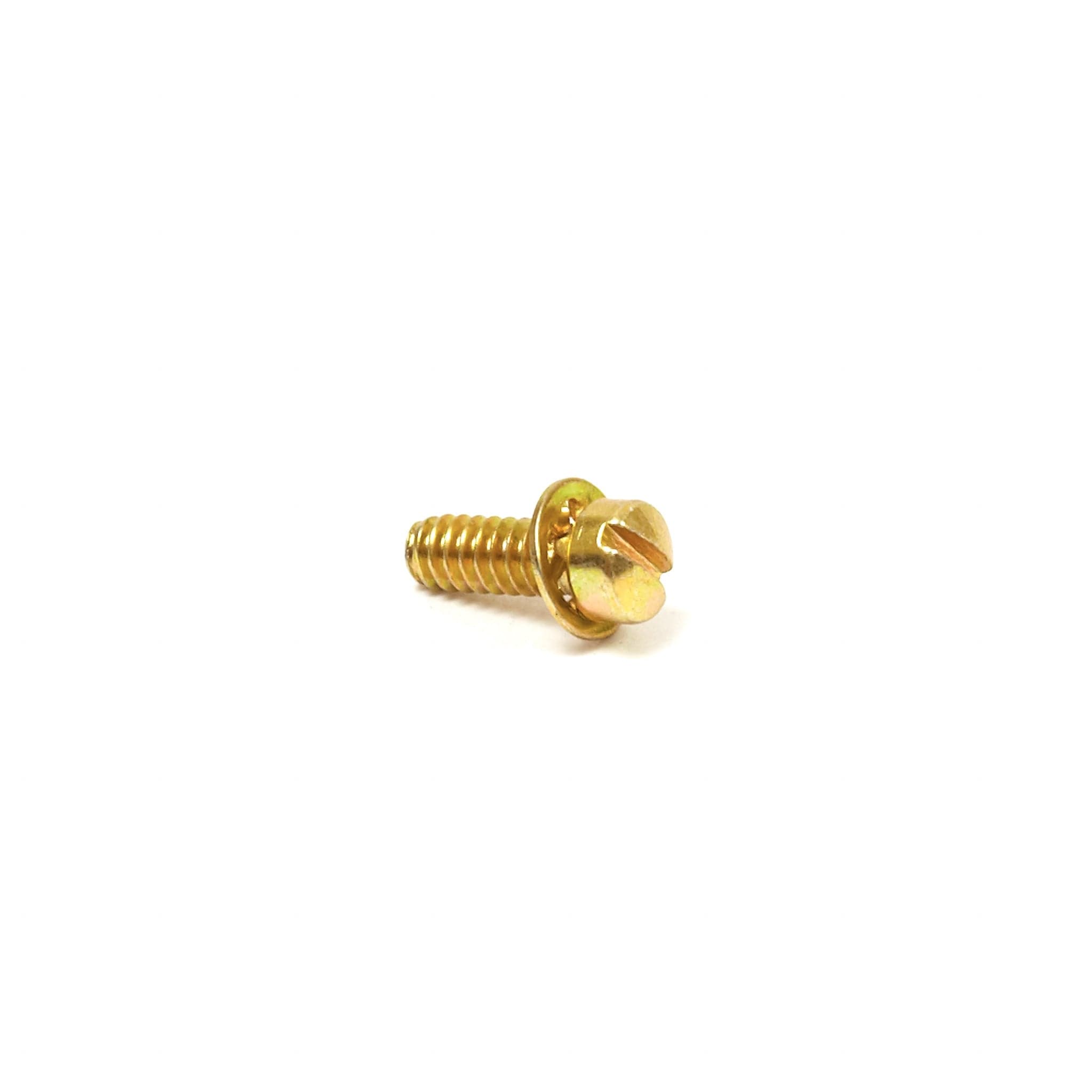 691619 SCREW