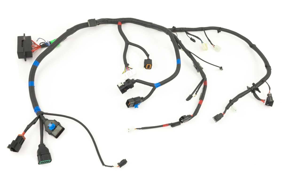 Harness