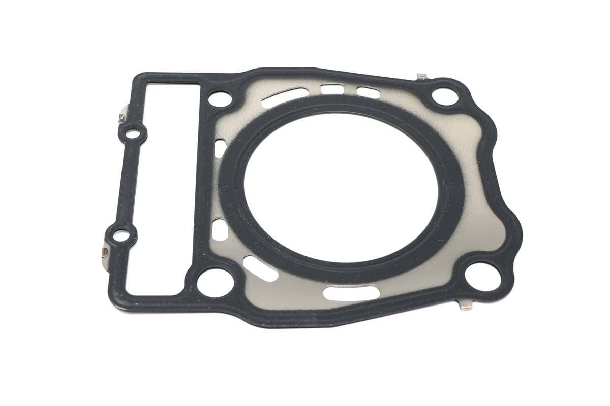Gasket Head