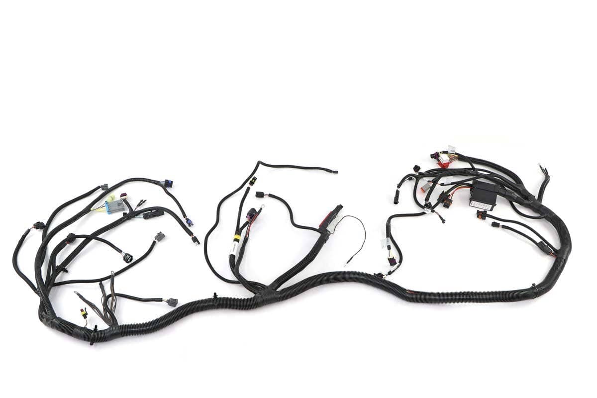 Harness, Chassis