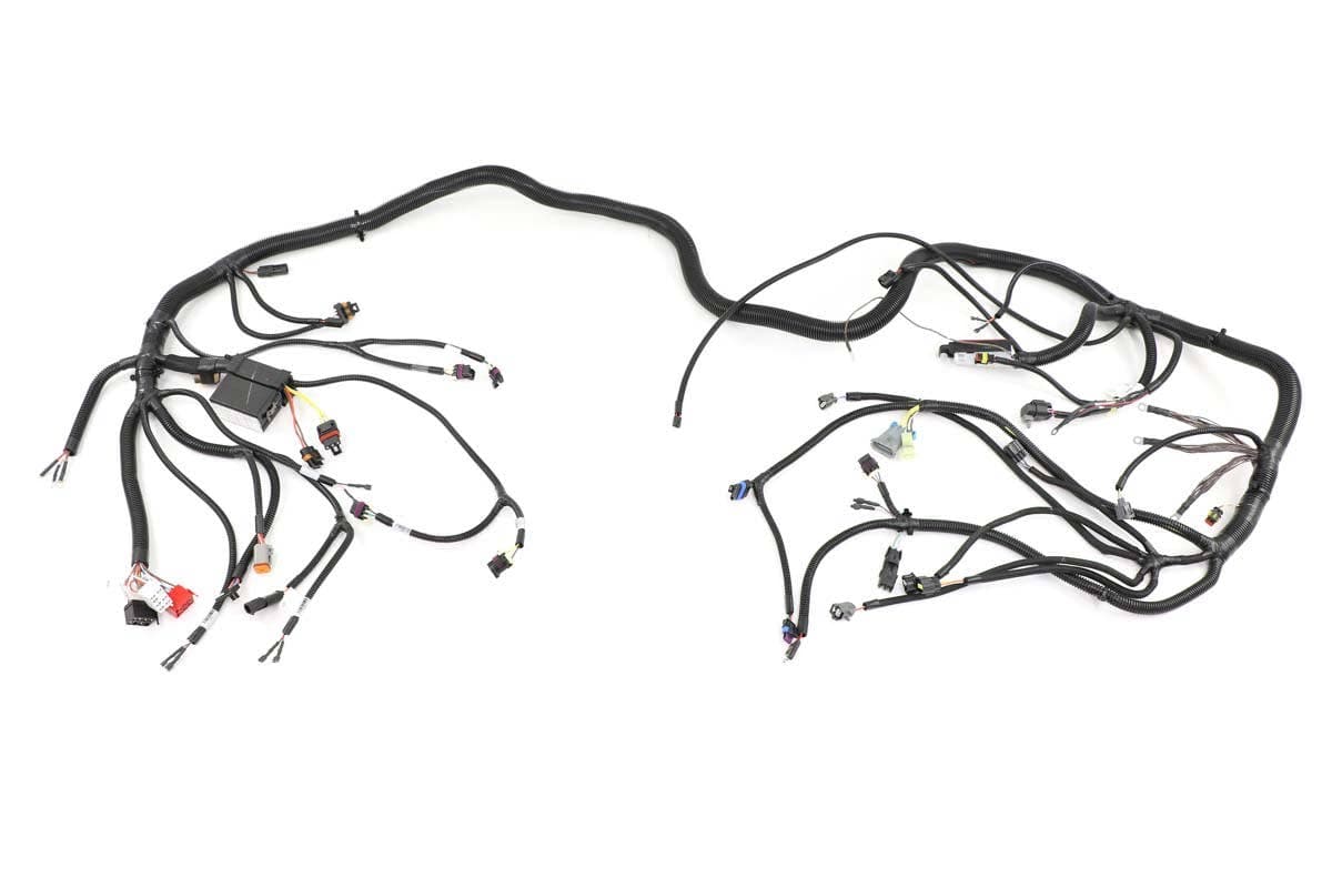 Harness, Chassis