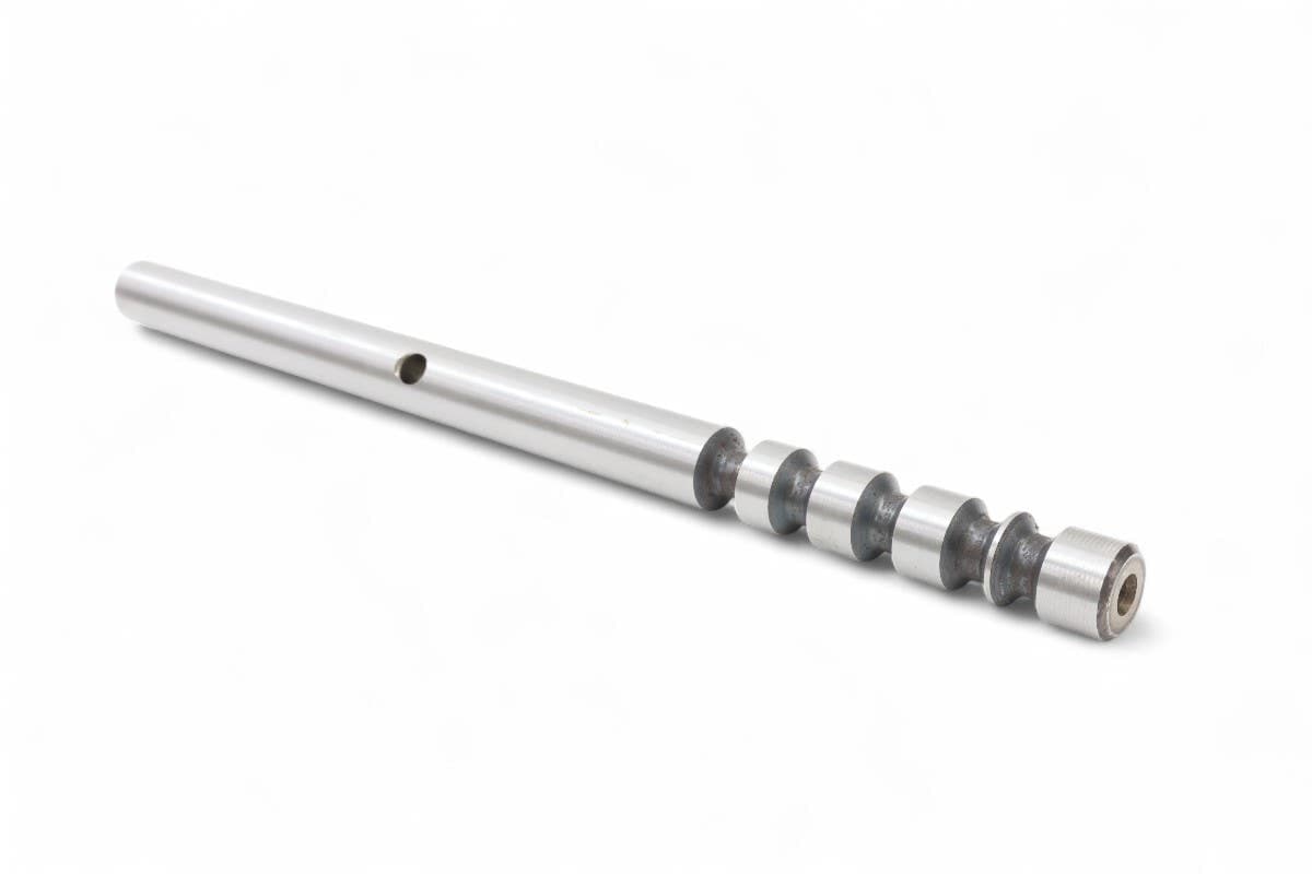 Rod Fork Range