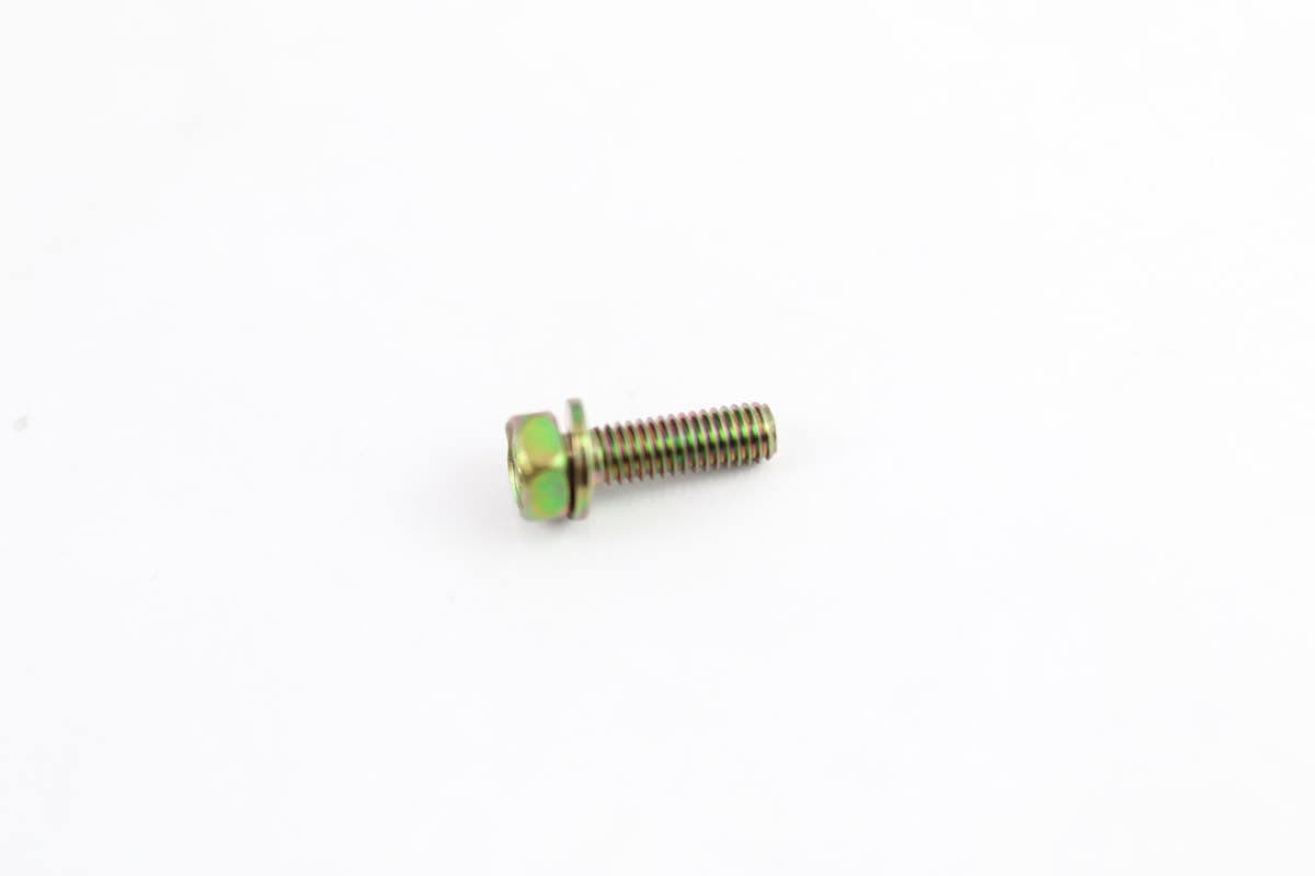 Bolt W/Washer