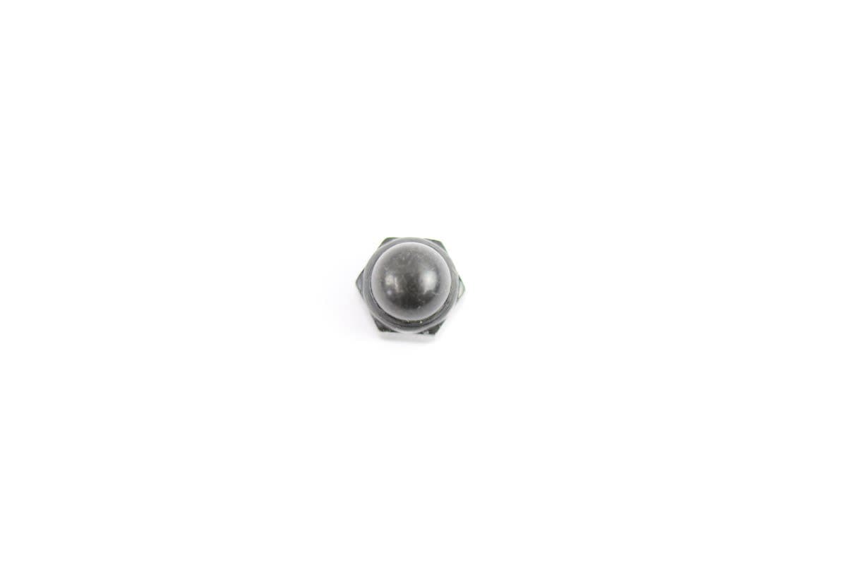 Nut Cap