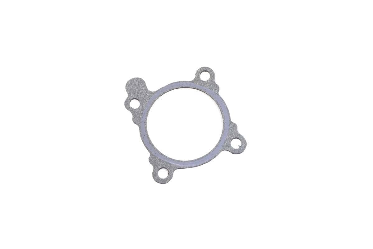 Gasket Manifold Intake