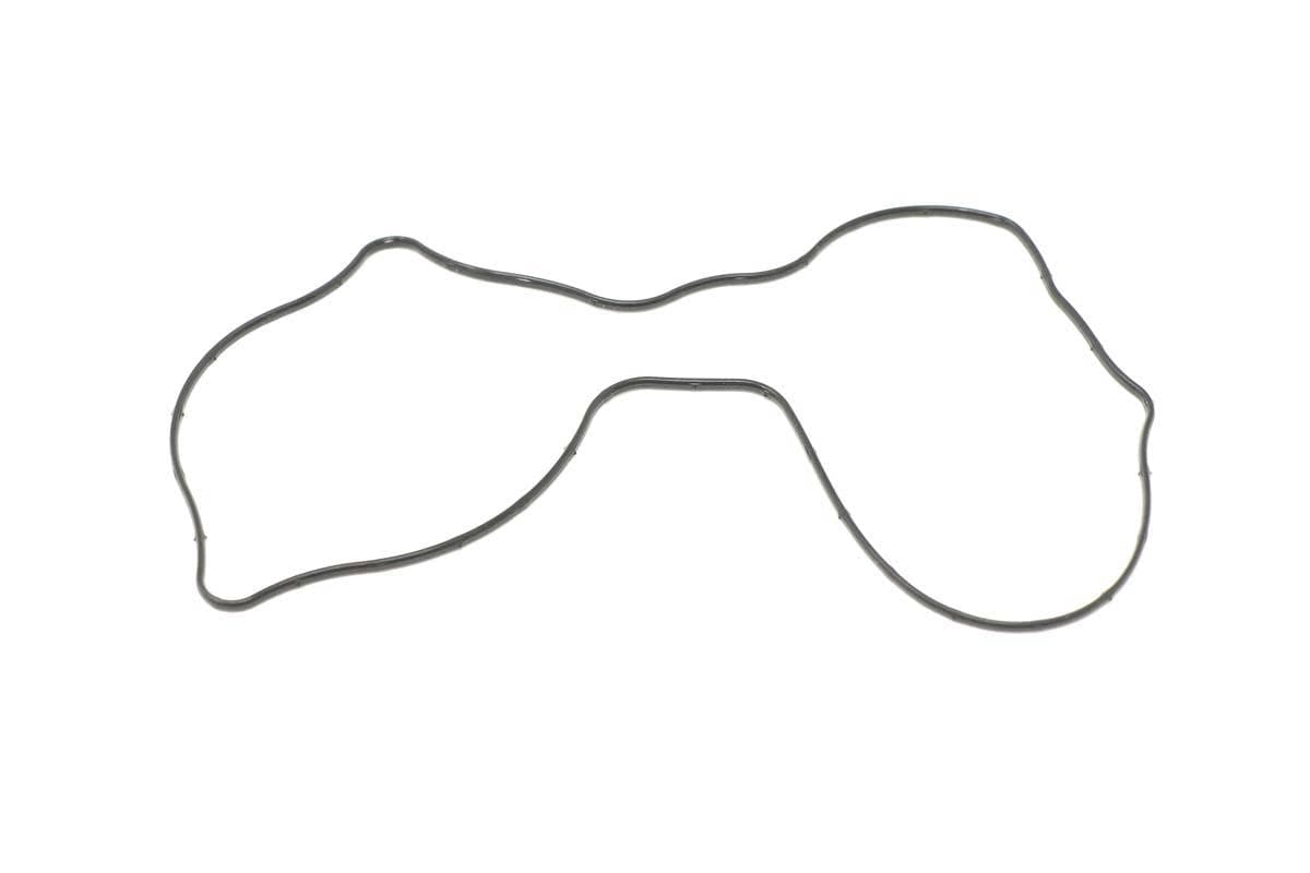 Gasket Seal