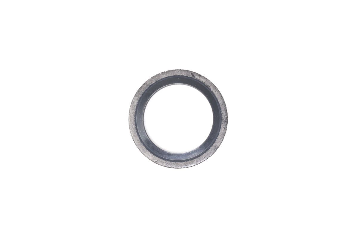 Seal Washer