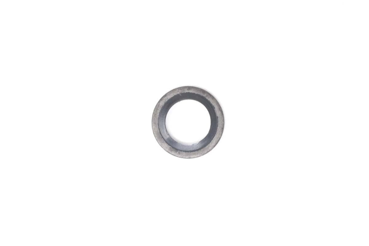 Seal Washer