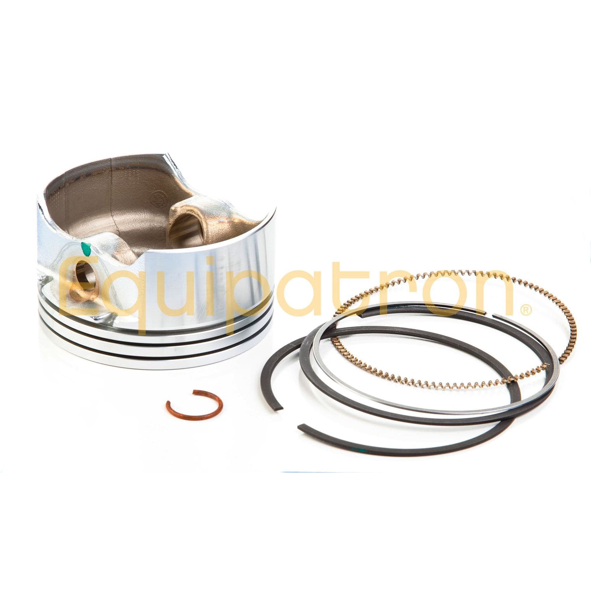 793318 PISTON ASSEMBLY
