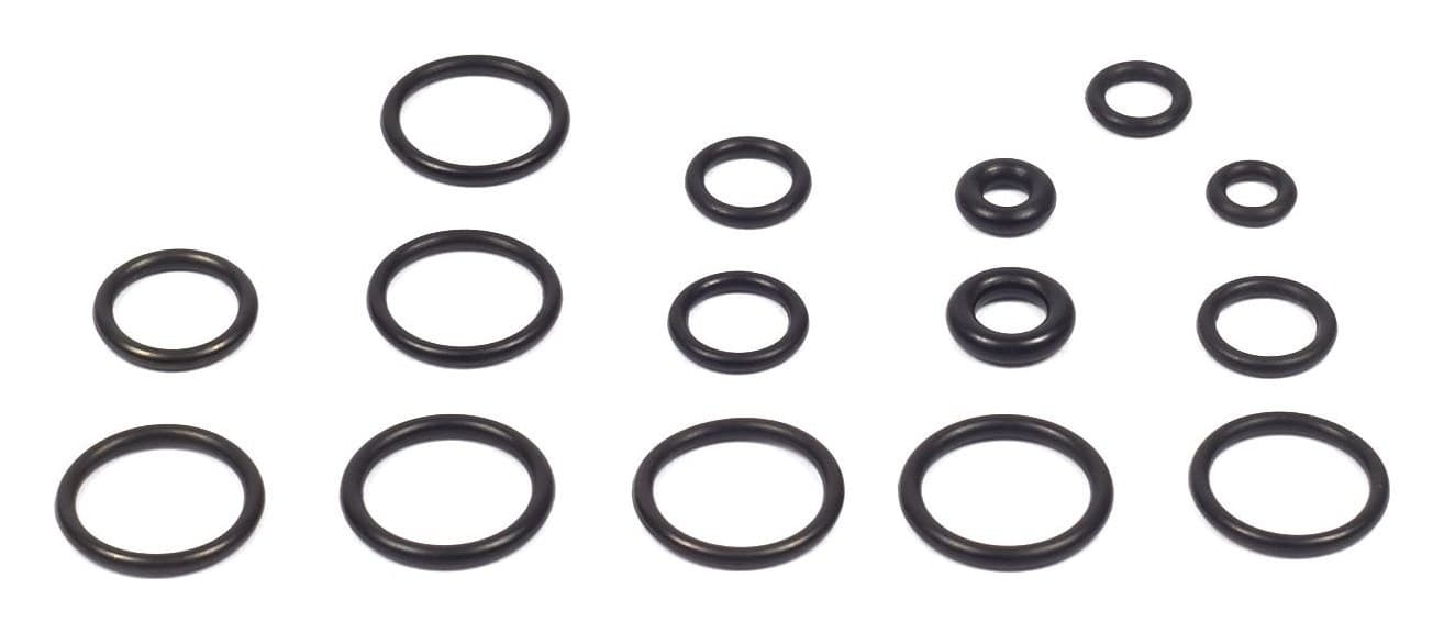 200346GS O-Ring Kit