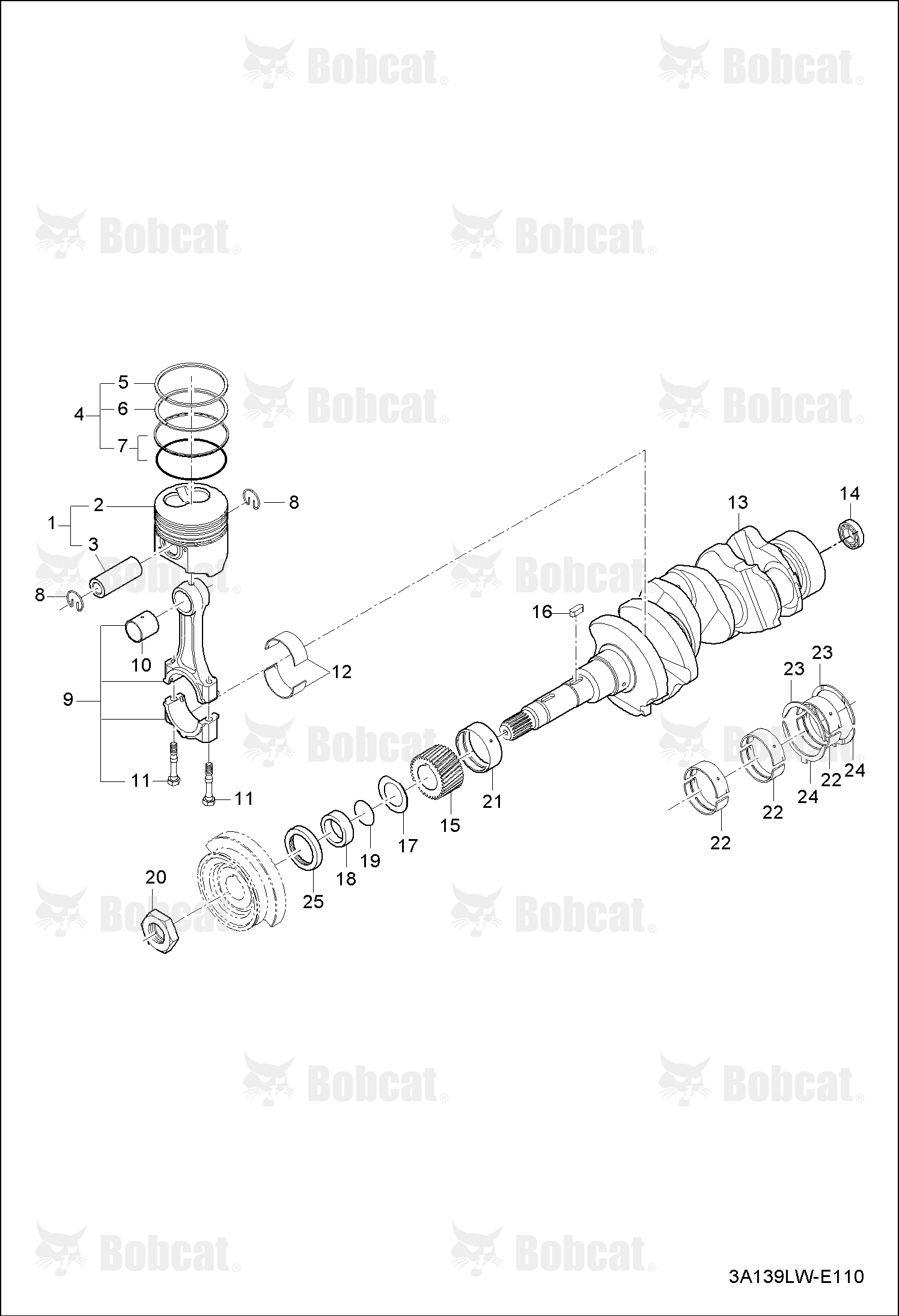 Ring Piston