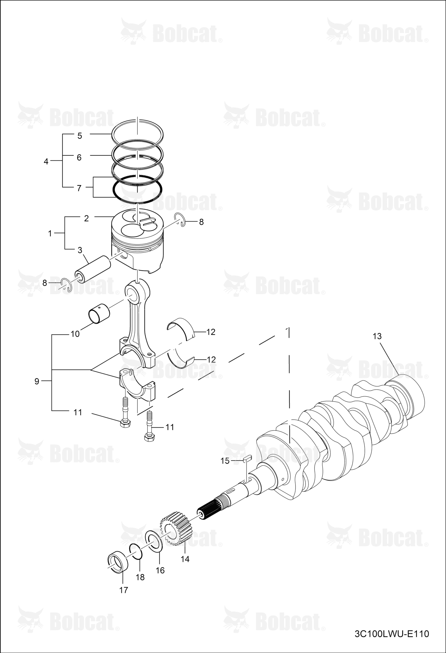 Ring Piston