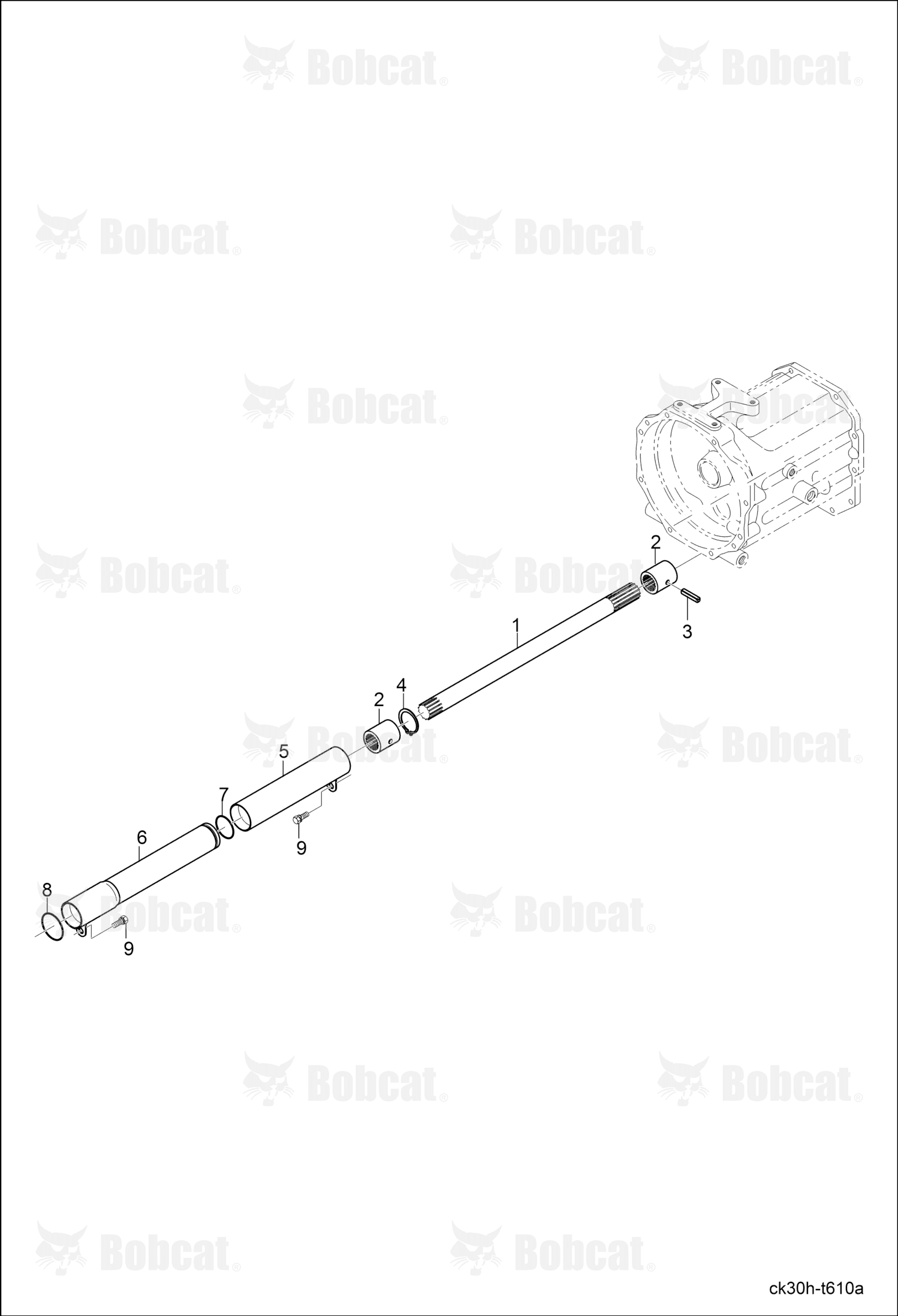 Shaft Drive