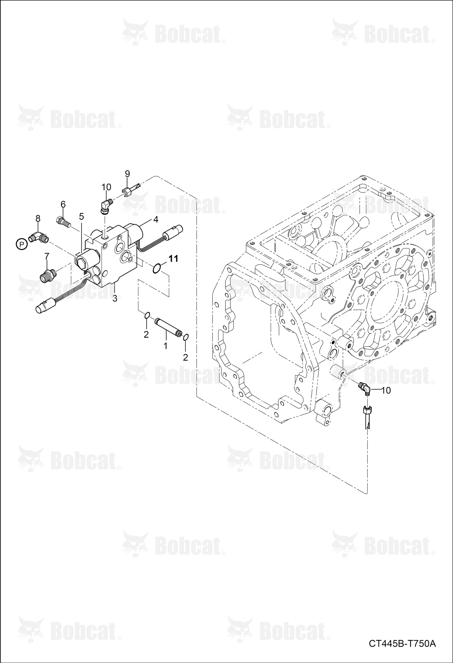 Stem Valve