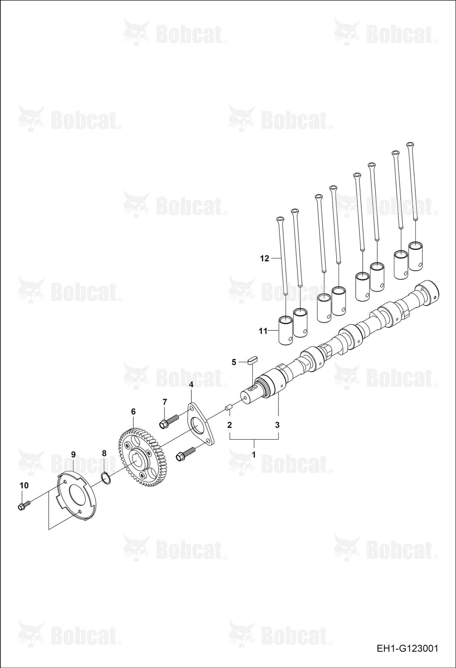 Camshaft Assembly