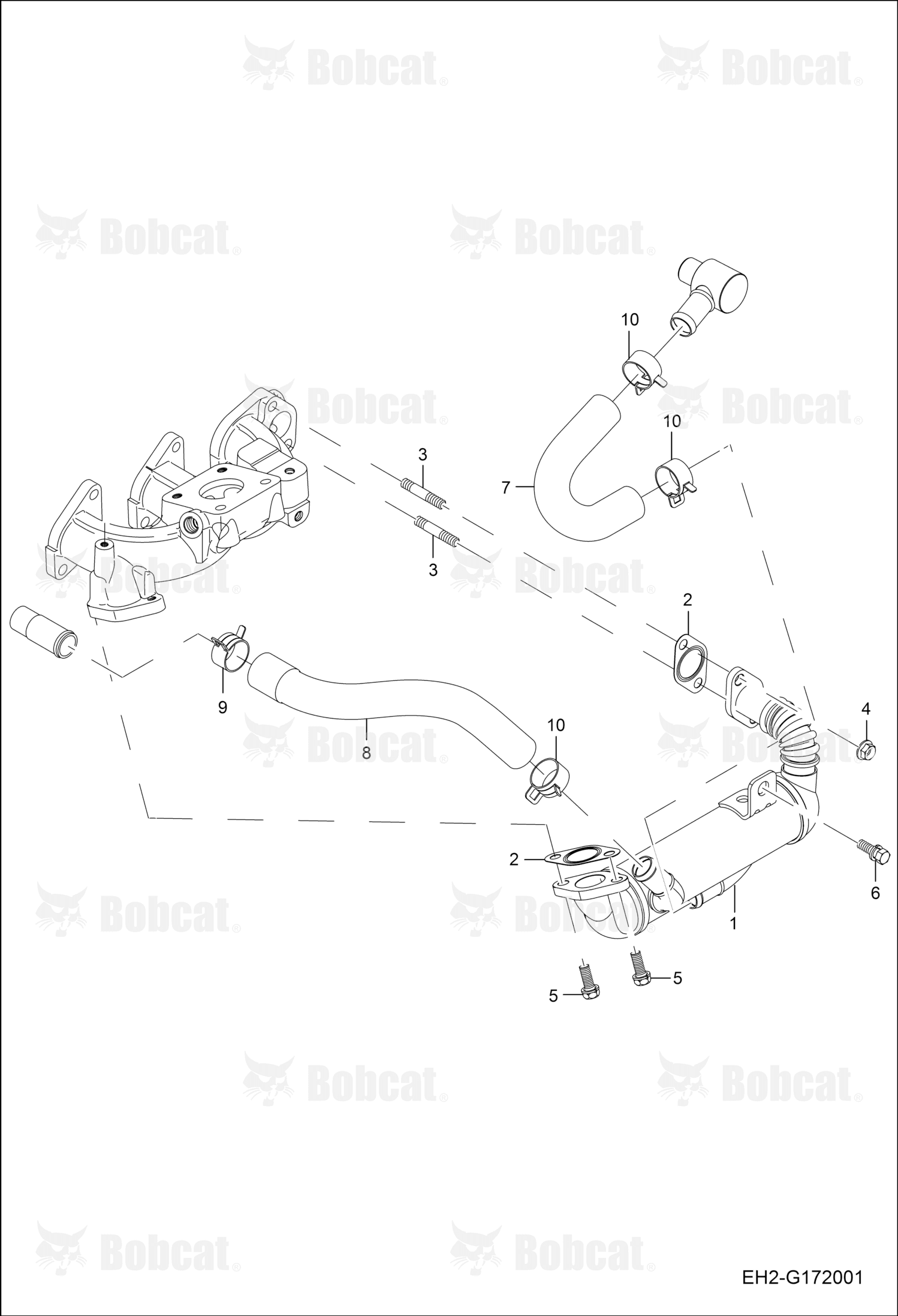 Hose Coolant