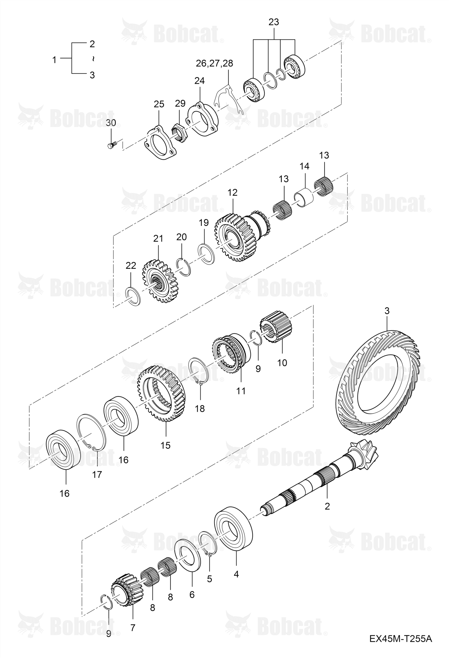 Gear Ring