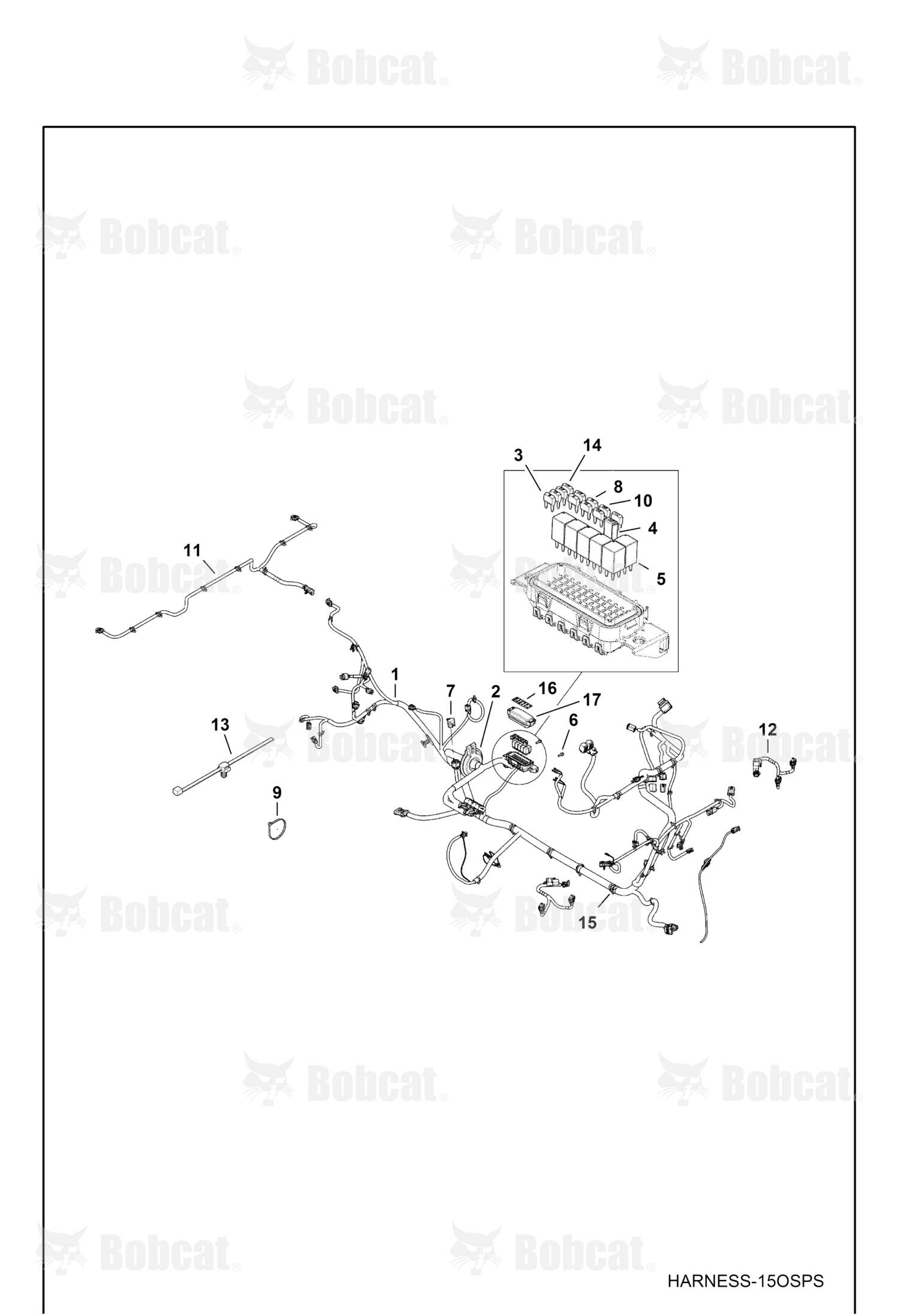 Harness Chassis