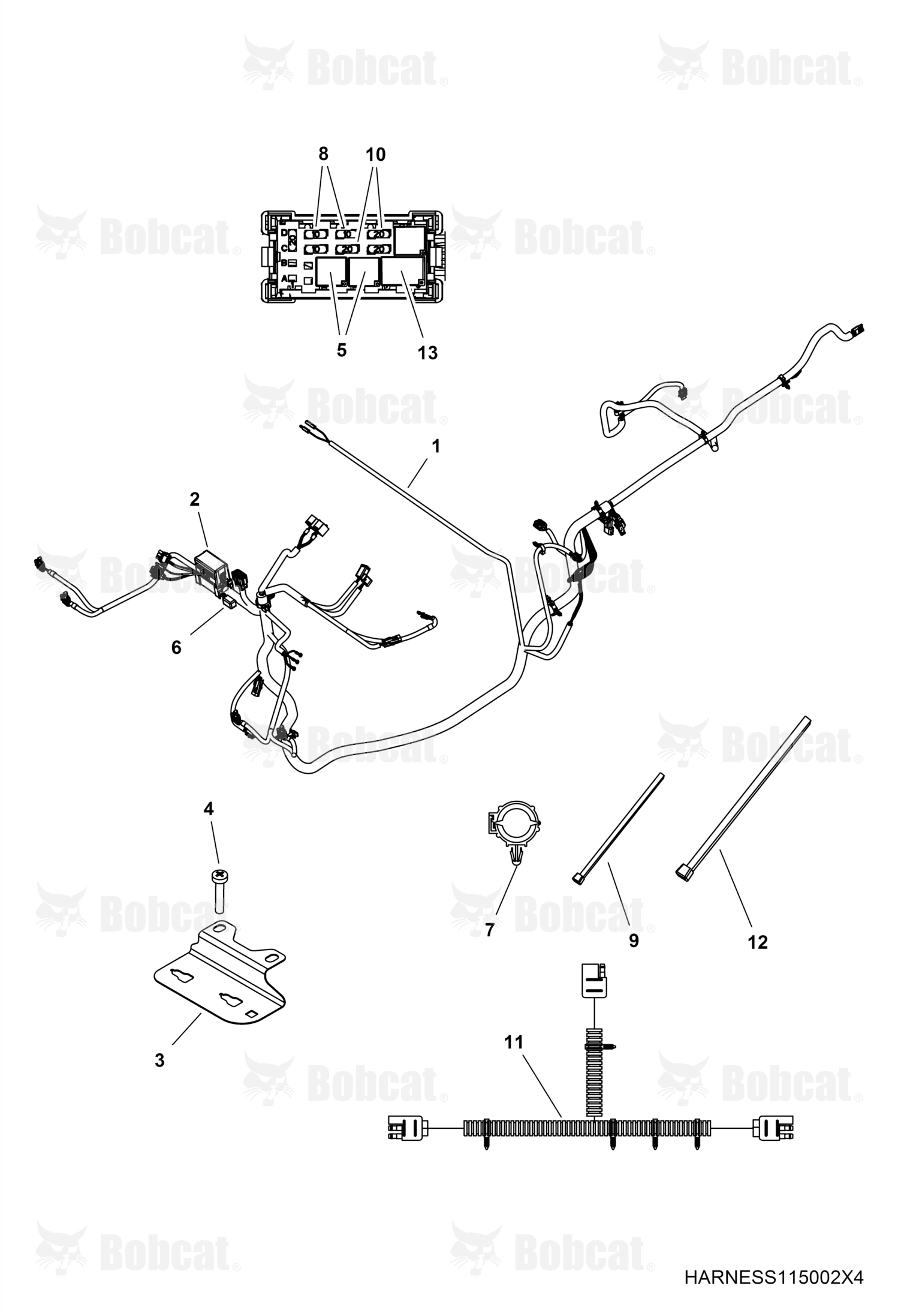 Harness, Chassis