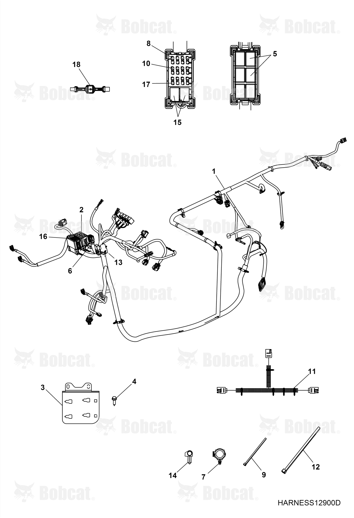 Harness, Chassis