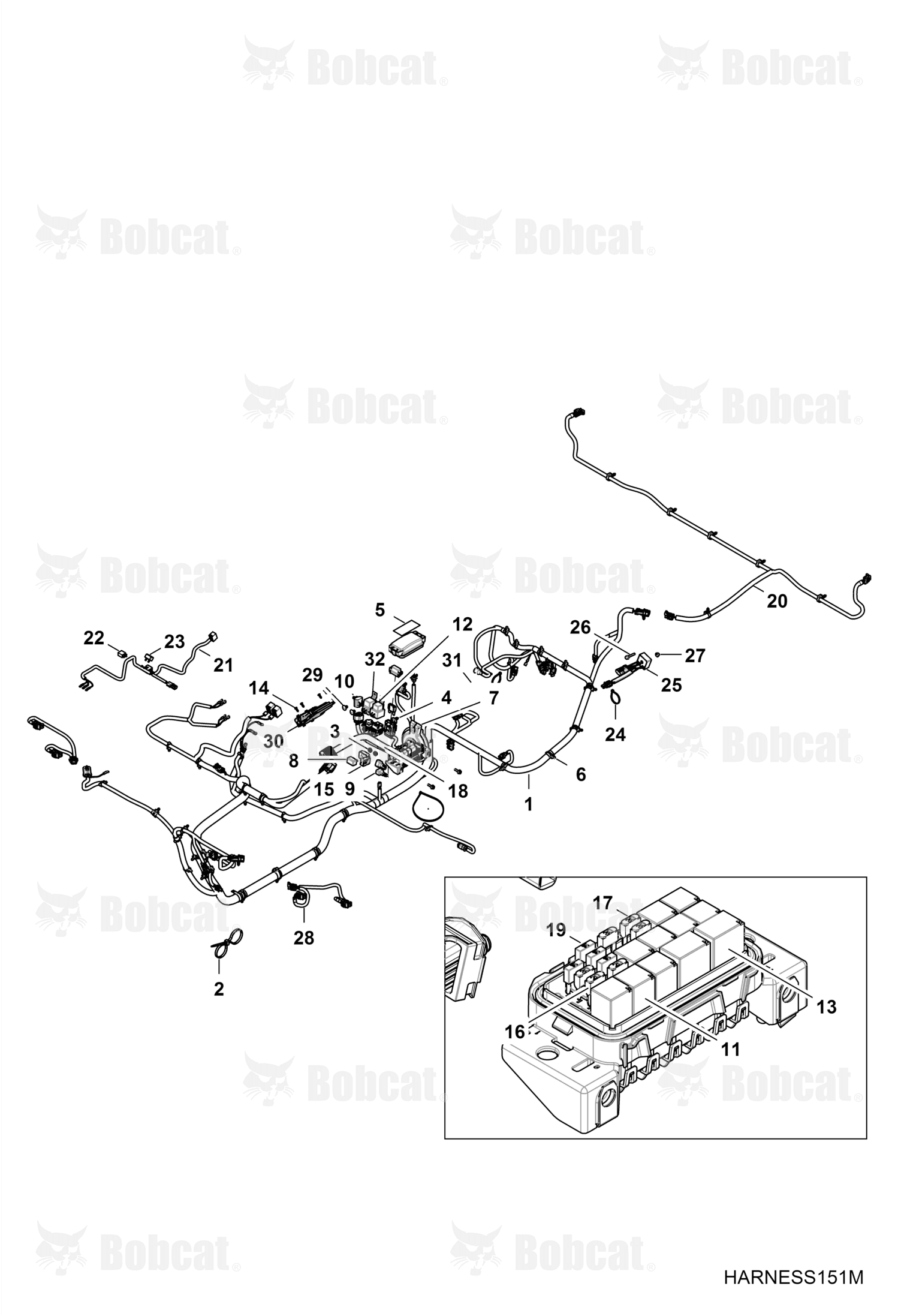 Harness, Chassis
