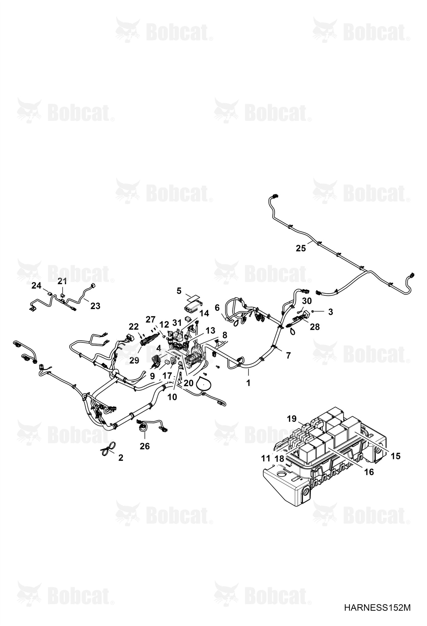 Harness, Chassis