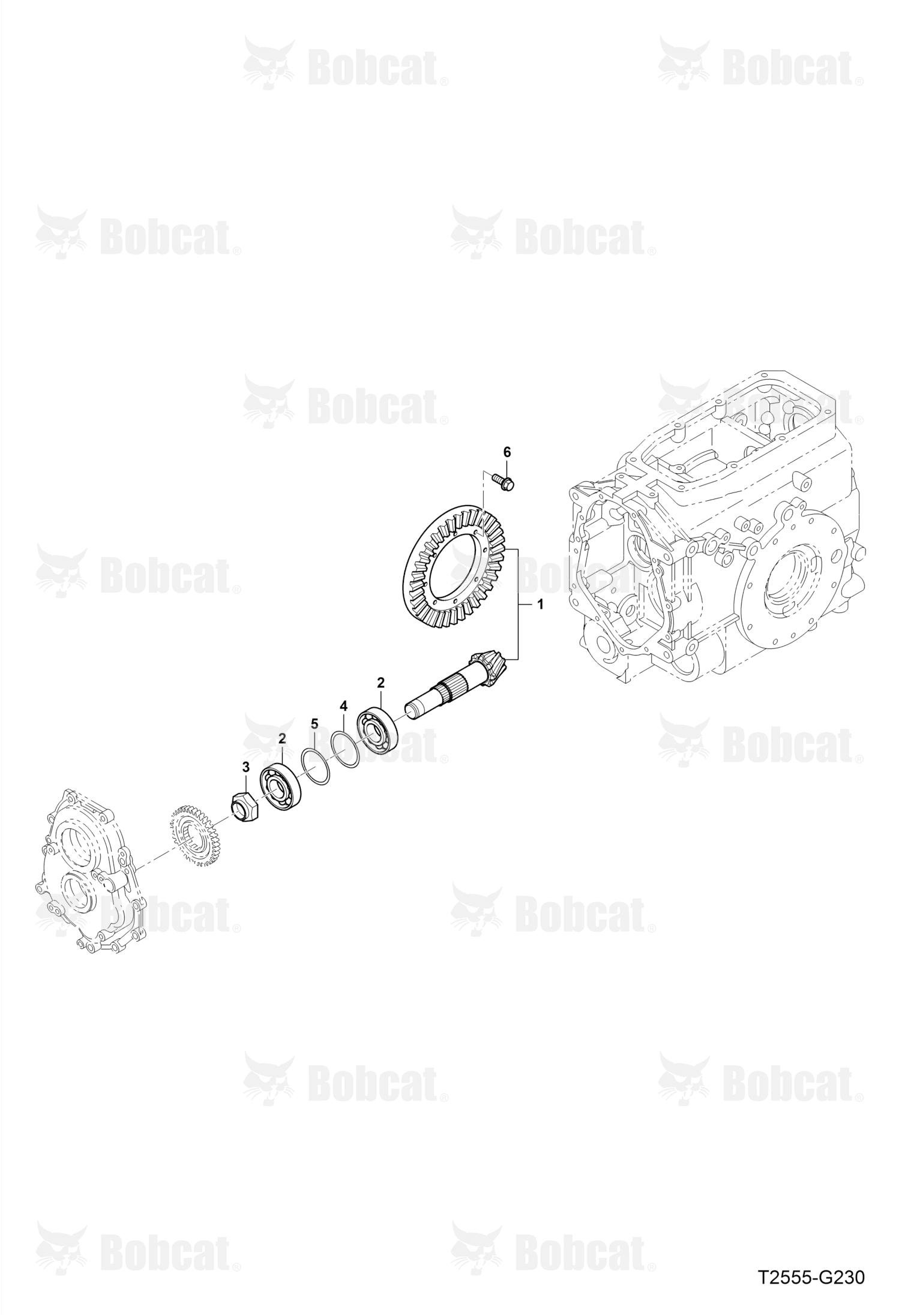 Bevel Gear Set