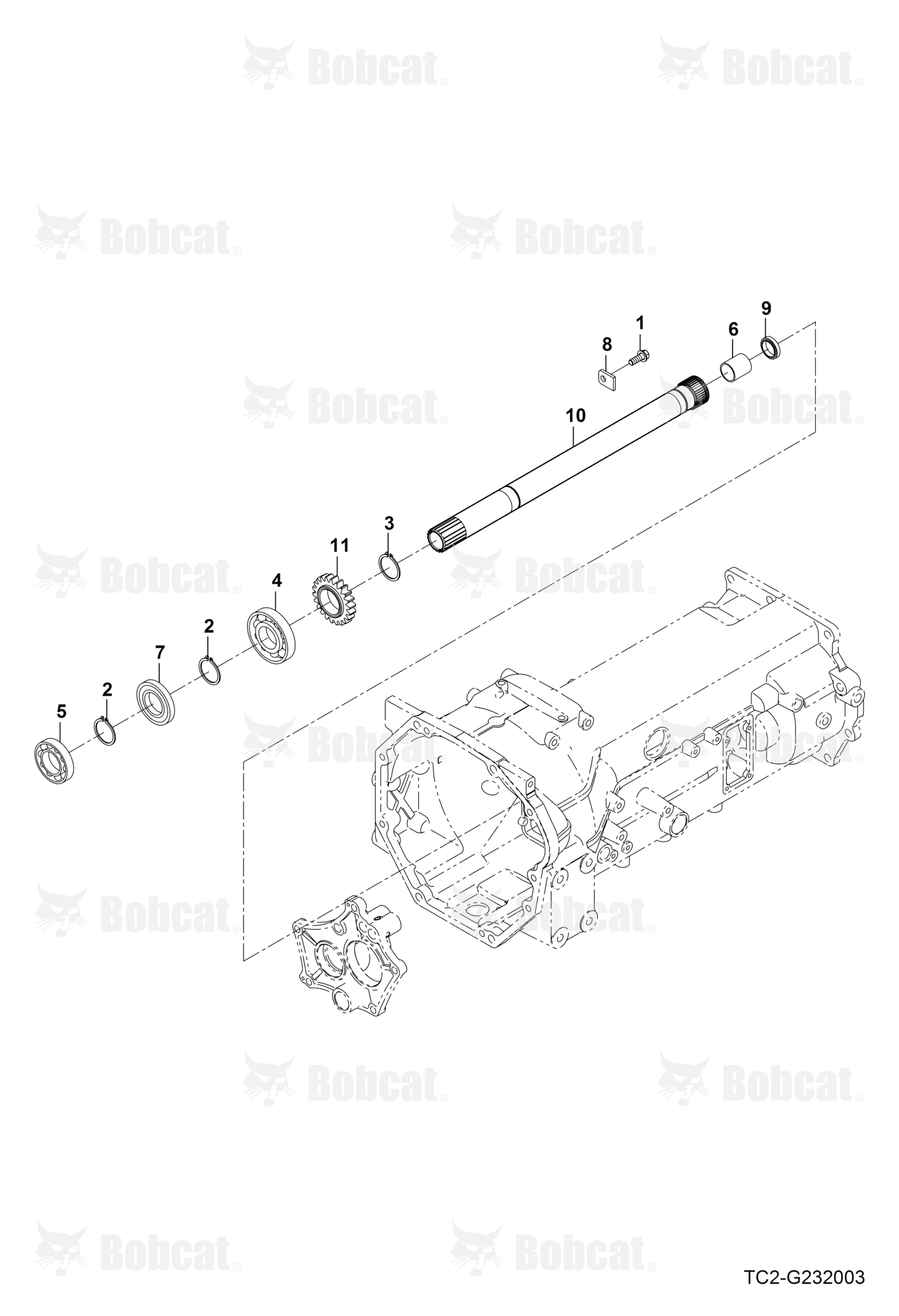 Shaft Main