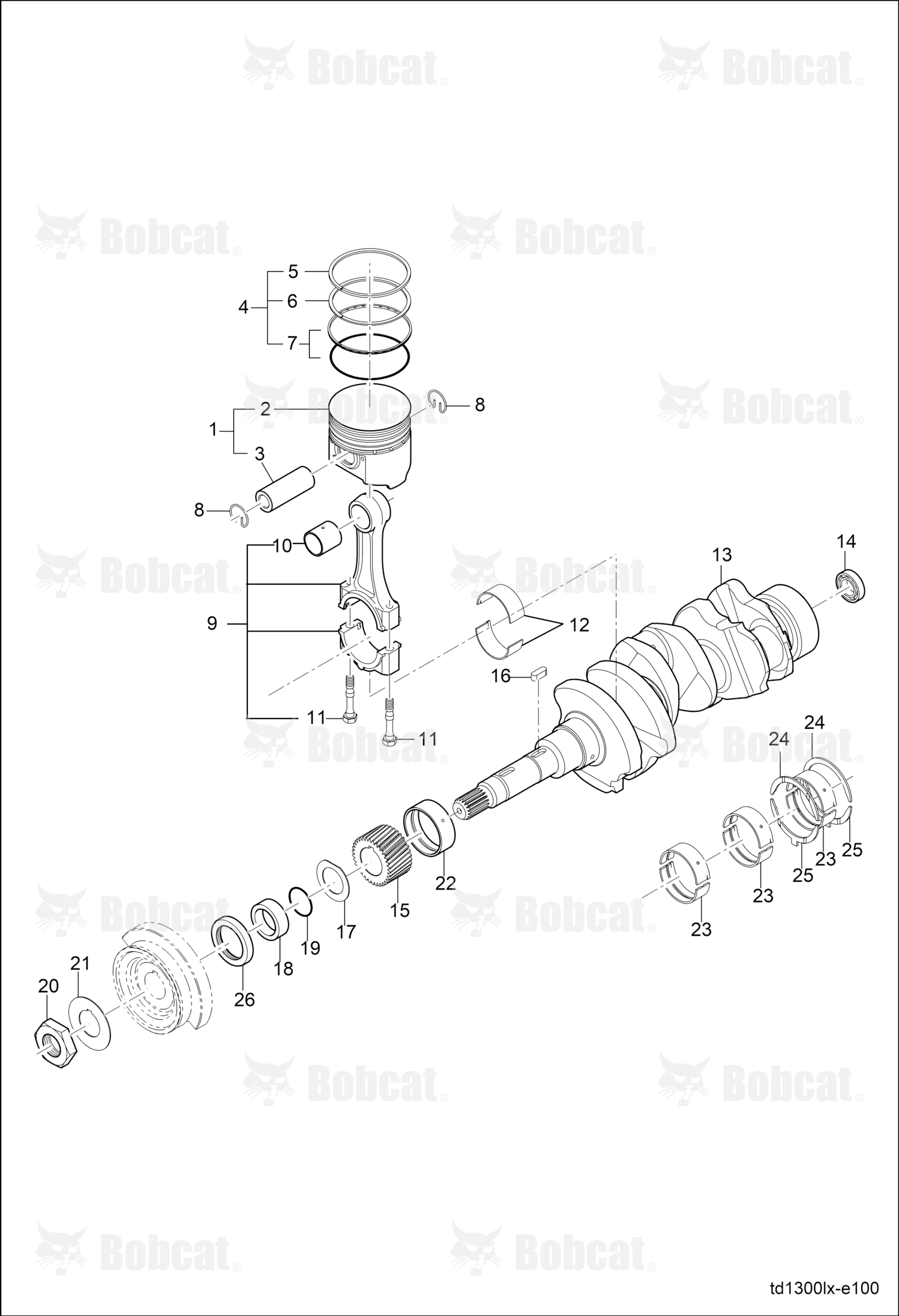 Ring Piston