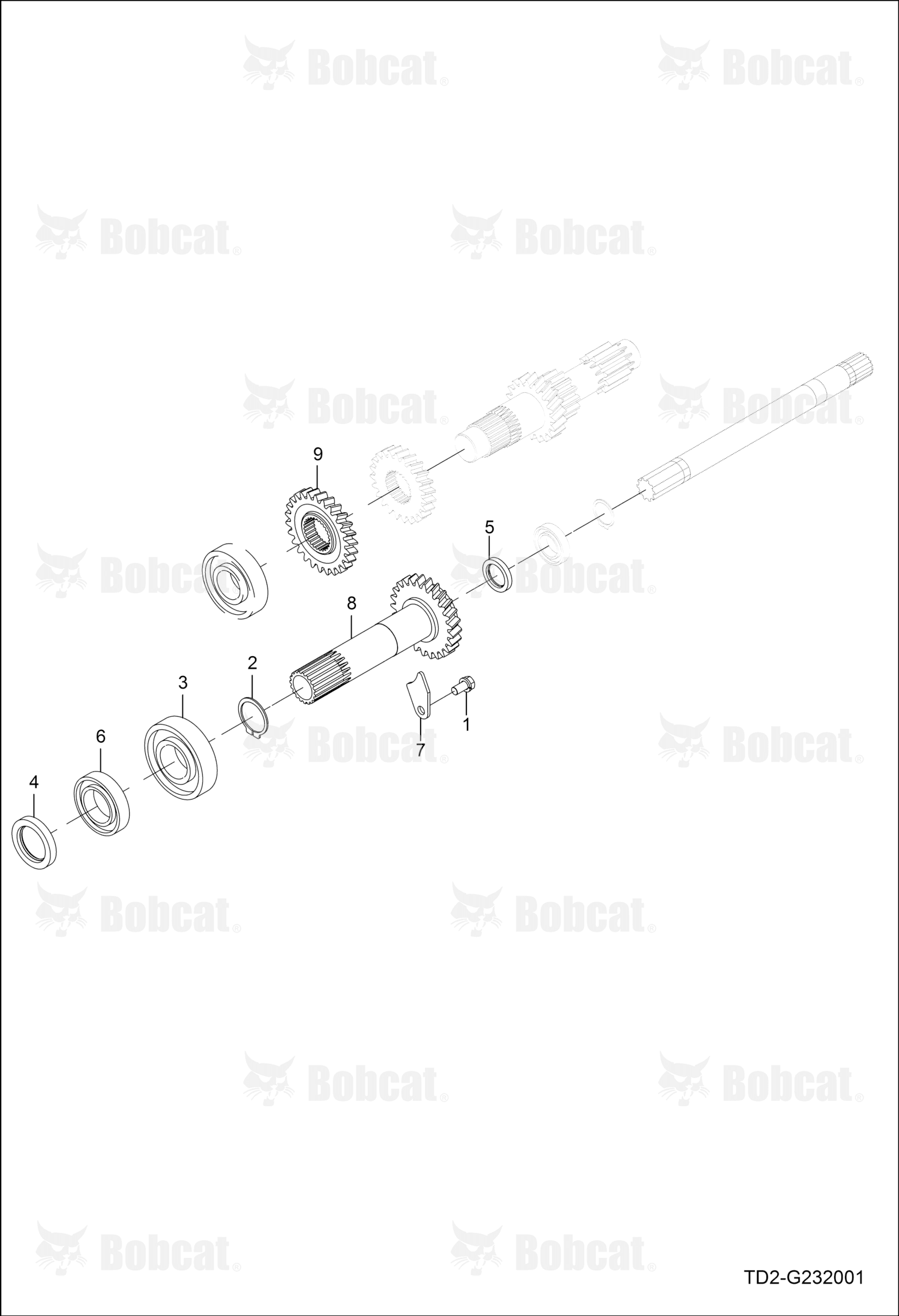 Shaft Gear