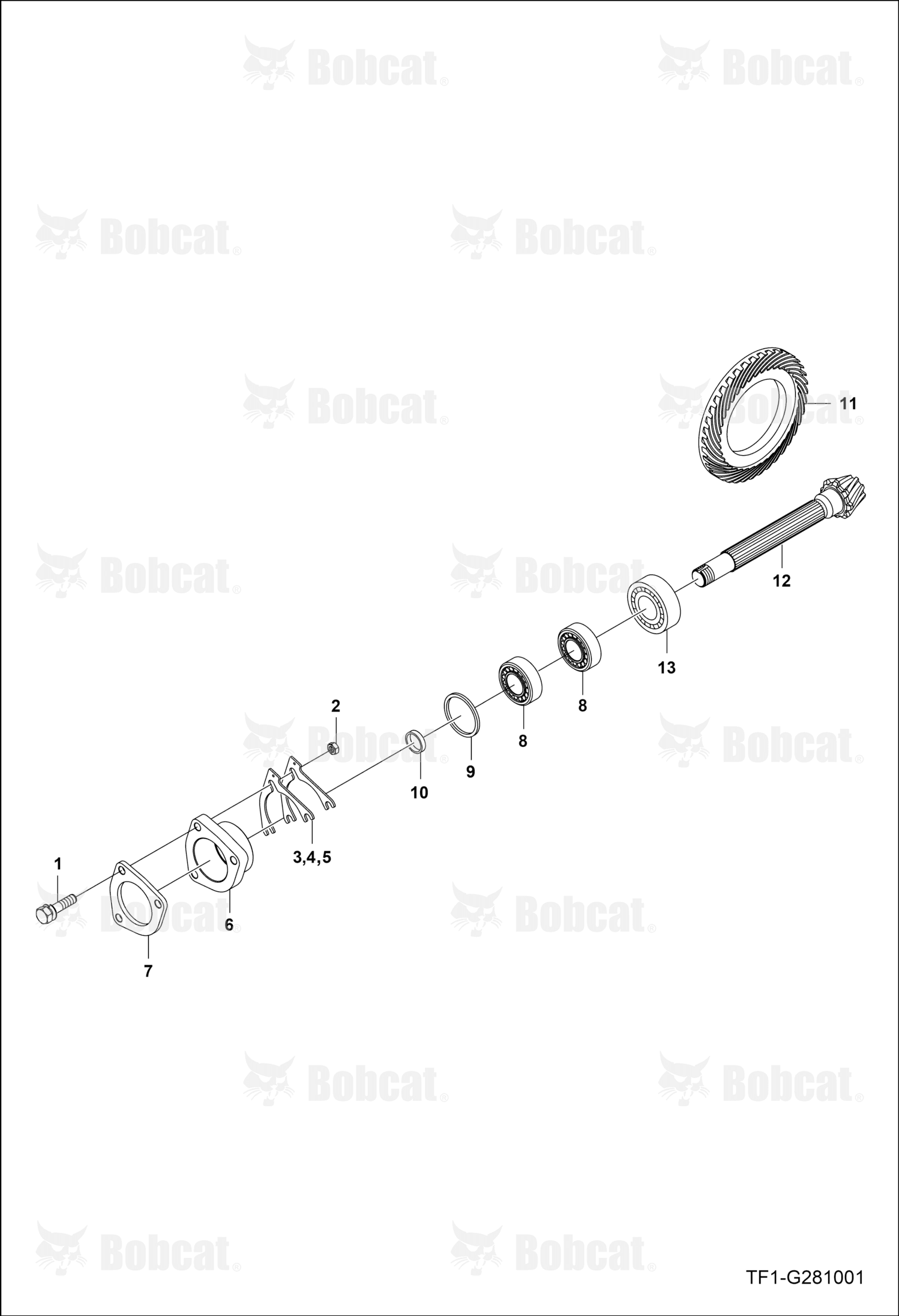 Case Bearing