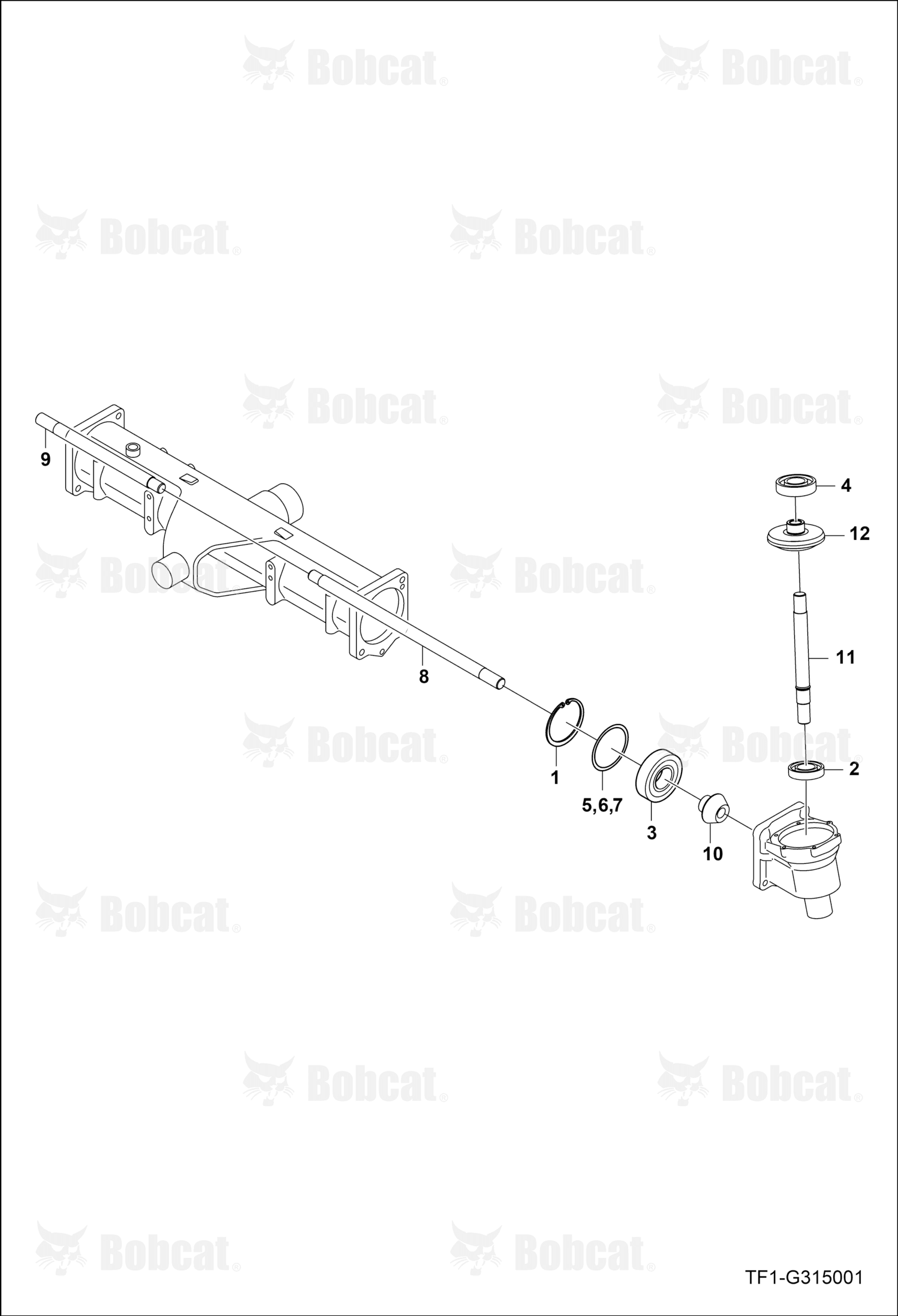 Gear 11 Bevel