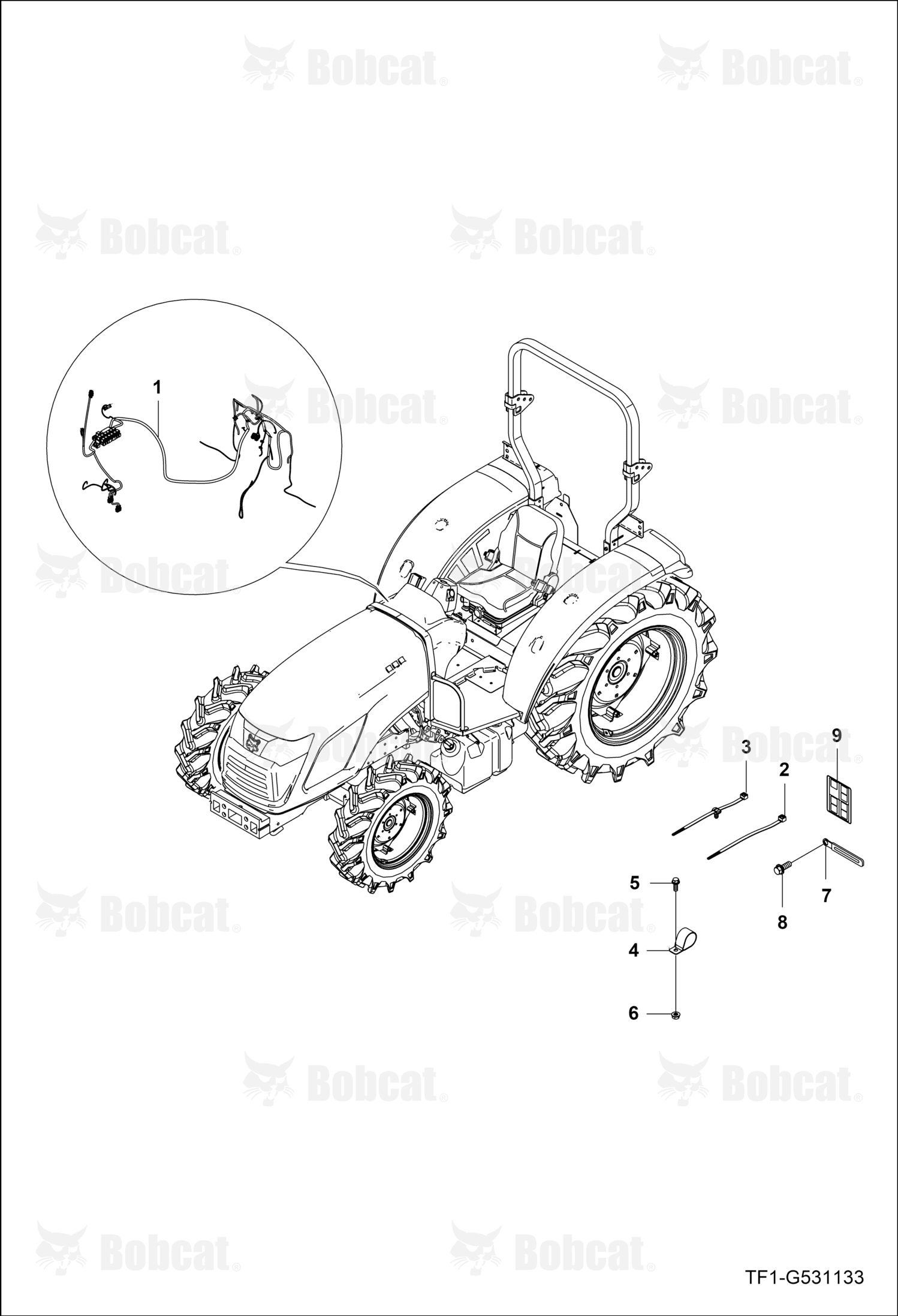 Fender Wire Harness Assembly