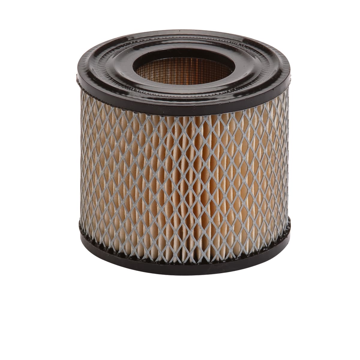30-044 AIR FILTER BRIGGS