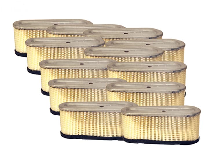 12936 MASTER CARTON REPL B&S 493909 BULK AIR F